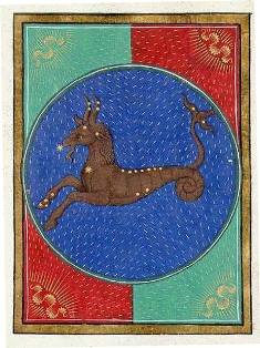 Capricorn