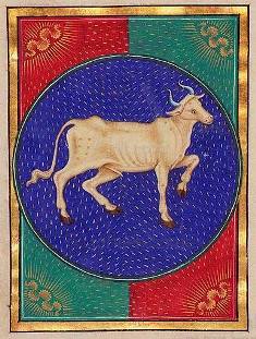 Taurus